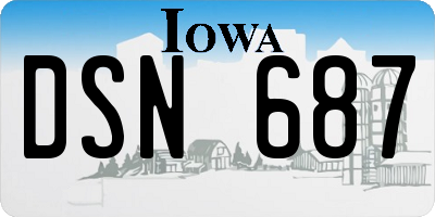 IA license plate DSN687