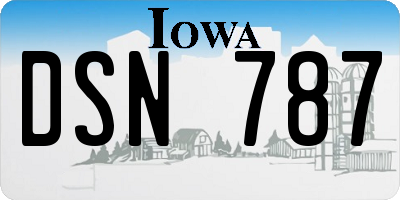 IA license plate DSN787