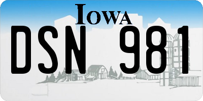 IA license plate DSN981