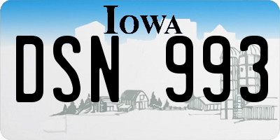 IA license plate DSN993