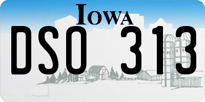 IA license plate DSO313