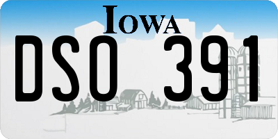 IA license plate DSO391