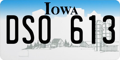 IA license plate DSO613