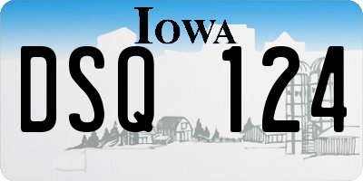 IA license plate DSQ124