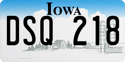 IA license plate DSQ218