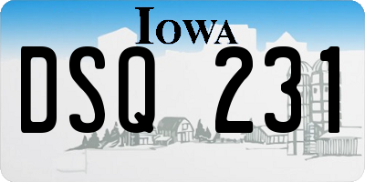 IA license plate DSQ231