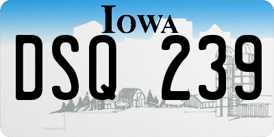 IA license plate DSQ239