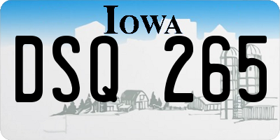 IA license plate DSQ265