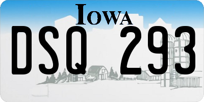 IA license plate DSQ293