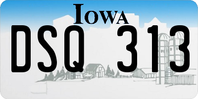 IA license plate DSQ313