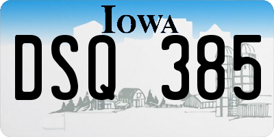 IA license plate DSQ385
