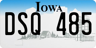 IA license plate DSQ485