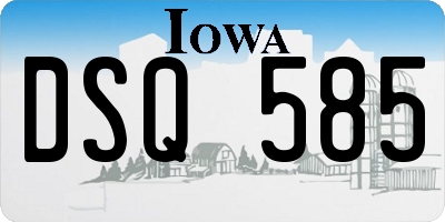 IA license plate DSQ585