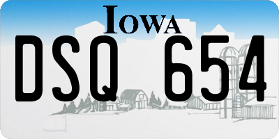 IA license plate DSQ654