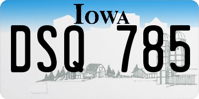 IA license plate DSQ785