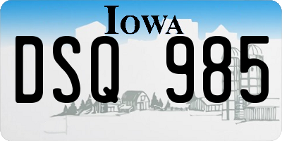 IA license plate DSQ985
