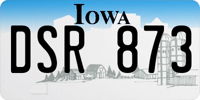 IA license plate DSR873