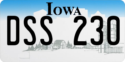 IA license plate DSS230