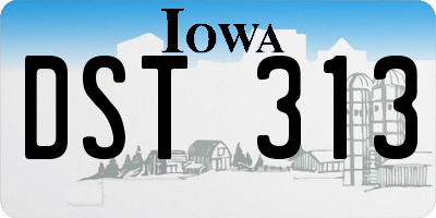 IA license plate DST313