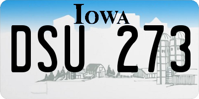 IA license plate DSU273
