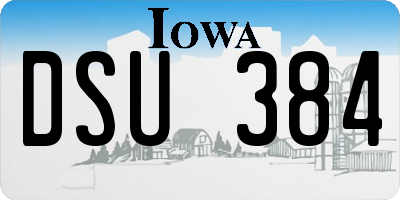 IA license plate DSU384