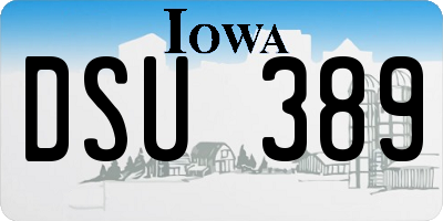 IA license plate DSU389