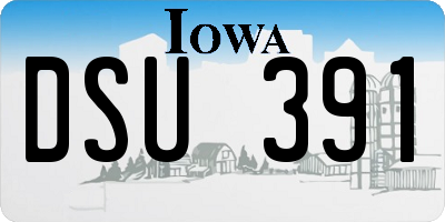 IA license plate DSU391