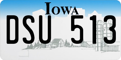 IA license plate DSU513