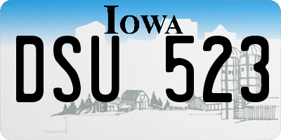 IA license plate DSU523