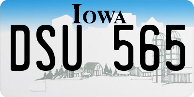 IA license plate DSU565