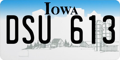 IA license plate DSU613