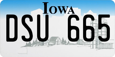 IA license plate DSU665