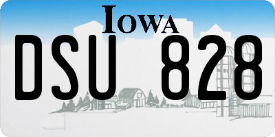 IA license plate DSU828