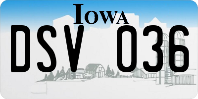 IA license plate DSV036