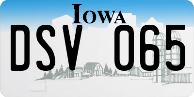 IA license plate DSV065