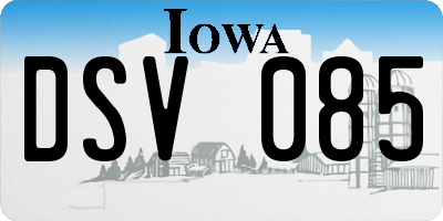 IA license plate DSV085