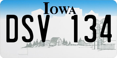 IA license plate DSV134