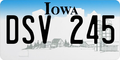 IA license plate DSV245
