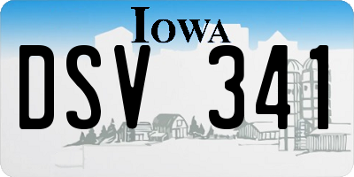 IA license plate DSV341