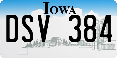 IA license plate DSV384