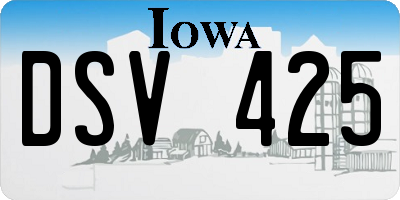 IA license plate DSV425