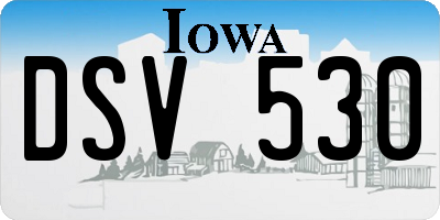 IA license plate DSV530