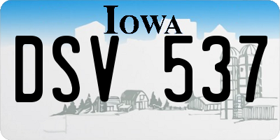 IA license plate DSV537