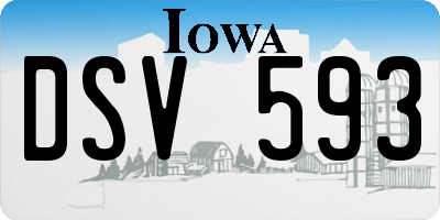 IA license plate DSV593