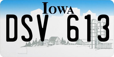 IA license plate DSV613