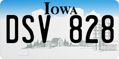 IA license plate DSV828