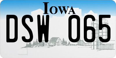 IA license plate DSW065