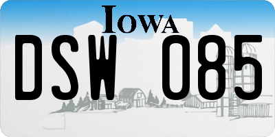 IA license plate DSW085
