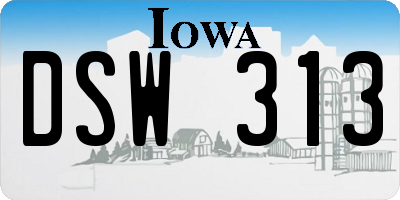 IA license plate DSW313