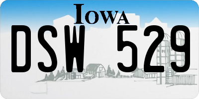 IA license plate DSW529
